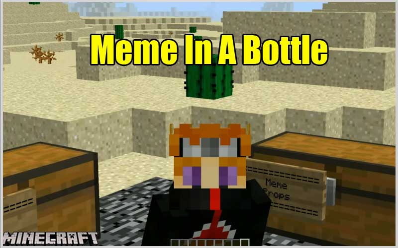 Meme In A Bottle